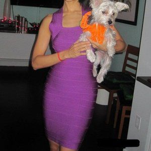 BQueen Purple Band Dress - Size Small
